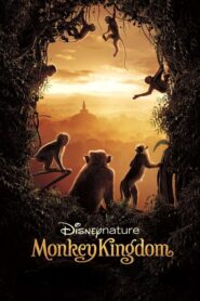 Monkey Kingdom CDA