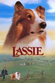 Lassie CDA