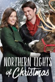 Northern Lights of Christmas CDA