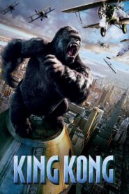King Kong CDA