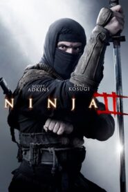 Ninja 2: Cień Łzy CDA