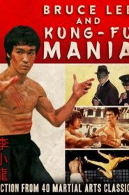 Bruce Lee and Kung Fu Mania CDA