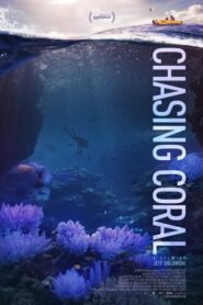 Chasing Coral CDA