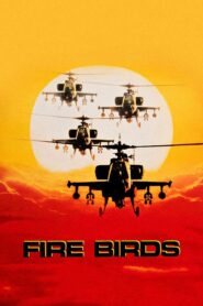 Fire Birds CDA