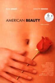 American Beauty CDA