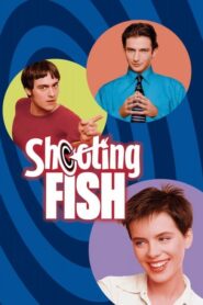 Shooting Fish CDA