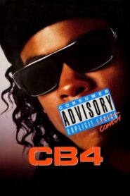 CB4 CDA