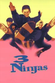 Trzech małolatów ninja CDA