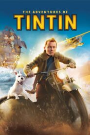 Przygody Tintina CDA