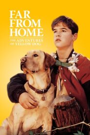 Far from Home: The Adventures of Yellow Dog CDA