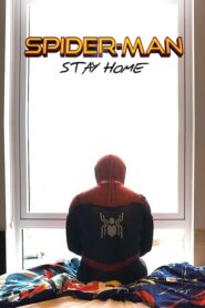 Spider-Man: Stay Home CDA