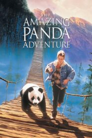 Niezwykłe przygody małej pandy CDA