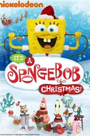 It’s a SpongeBob Christmas! CDA