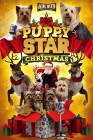 Puppy Star: Boże Narodzenie CDA