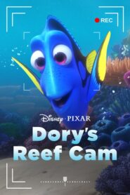 Dory’s Reef Cam CDA