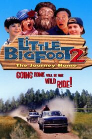Little Bigfoot 2: The Journey Home CDA