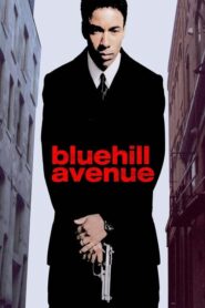 Blue Hill Avenue CDA