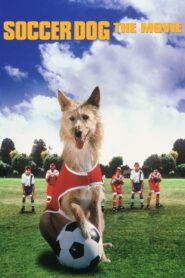 Soccer Dog: The Movie CDA