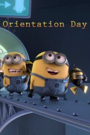 Minionki: Orientation Day CDA