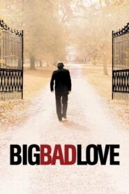Big Bad Love CDA