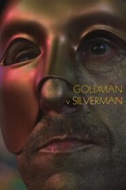 Goldman v Silverman CDA