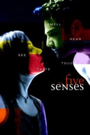 The Five Senses CDA