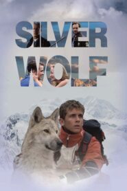 Silver Wolf CDA