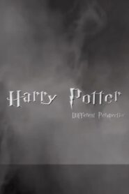 Harry Potter: Different Perspective CDA