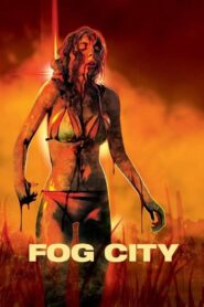 Fog City CDA
